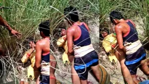 Bihari Randi Sex MMS Video