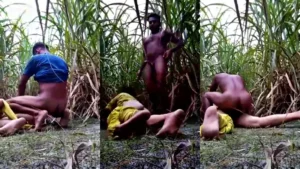 Dehati Chubby Randi Fucked In Fields