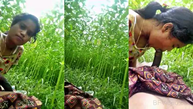 Dehati Gf Sucking Dick Outdoor Video Scandal