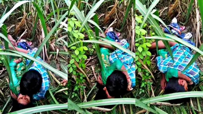 Dehati Lovers Having Sex In A Grass Field