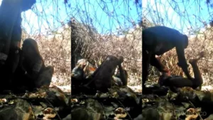 Dehati Randi Blowjob And Fucking Outdoors