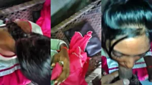 Desi Girl Blowjob To Her Lover At His Farmhouse