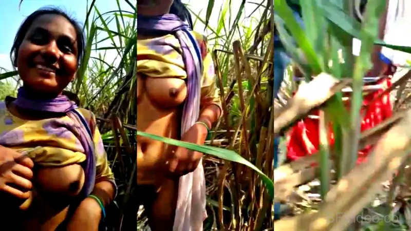 Desi Lady Naked Outdoor Sex Video With Lover