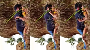 Desi Lover Outdoor Fucking For The First Time