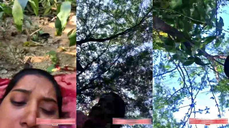 Desi Lovers Outdoor Sex Captured On Cam
