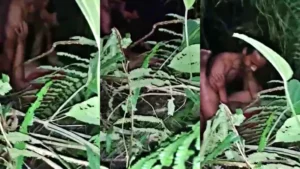 Desi Mature Randi Gangbang Group Sex Act