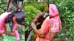 Desi Village Girl Group Sex In The Forest