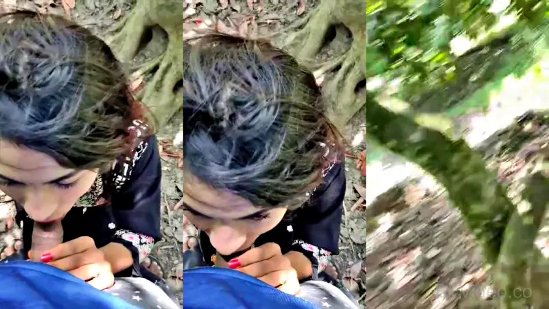 Horny GF Blowjob To Lover Outdoor Sex Video