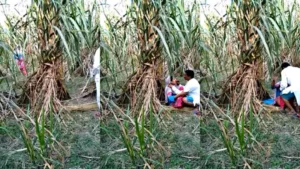 Indian Village Bhabhi Outdoor Fucking Scandal