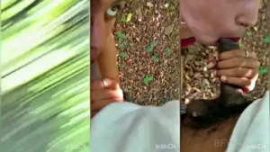 Kannur Mallu College Girl Viral Outdoor Sex Video