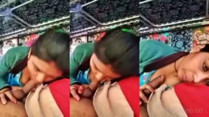 Local Desi Randi Blowjob To A Truck Driver MMS