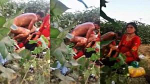 Swapping Couples Hot Dehati Sex Scandal MMS