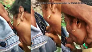 Telegu Lovers Blowjob Outdoors MMS Video