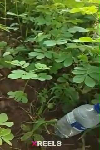 Desi Randi Fucking In Jungle