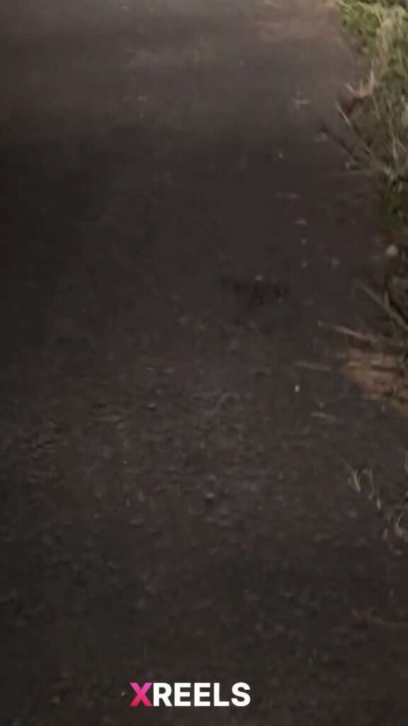 Thumbnail No 2 from Kinky College Girl Playing Naked In The Road.