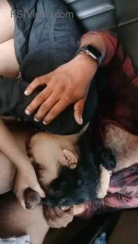 GF Giving Blowjob in the Car - Thumbnail 4
