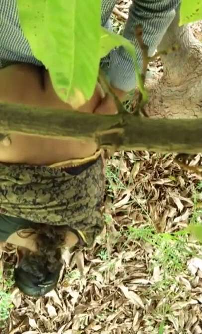 Big Ass Desi Bhabhi Outdoor Sex With Neighbor MMS