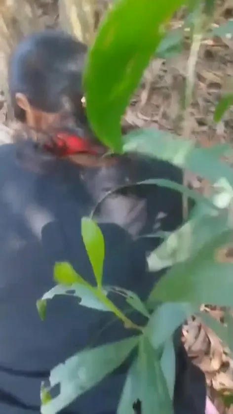 BF Ne GF Ko Jungle Leja Ke Banaya Ghodi Or Muh Me Lund Diya